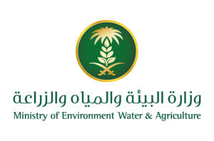 Green — شركة الصقور للحراسات الأمنية